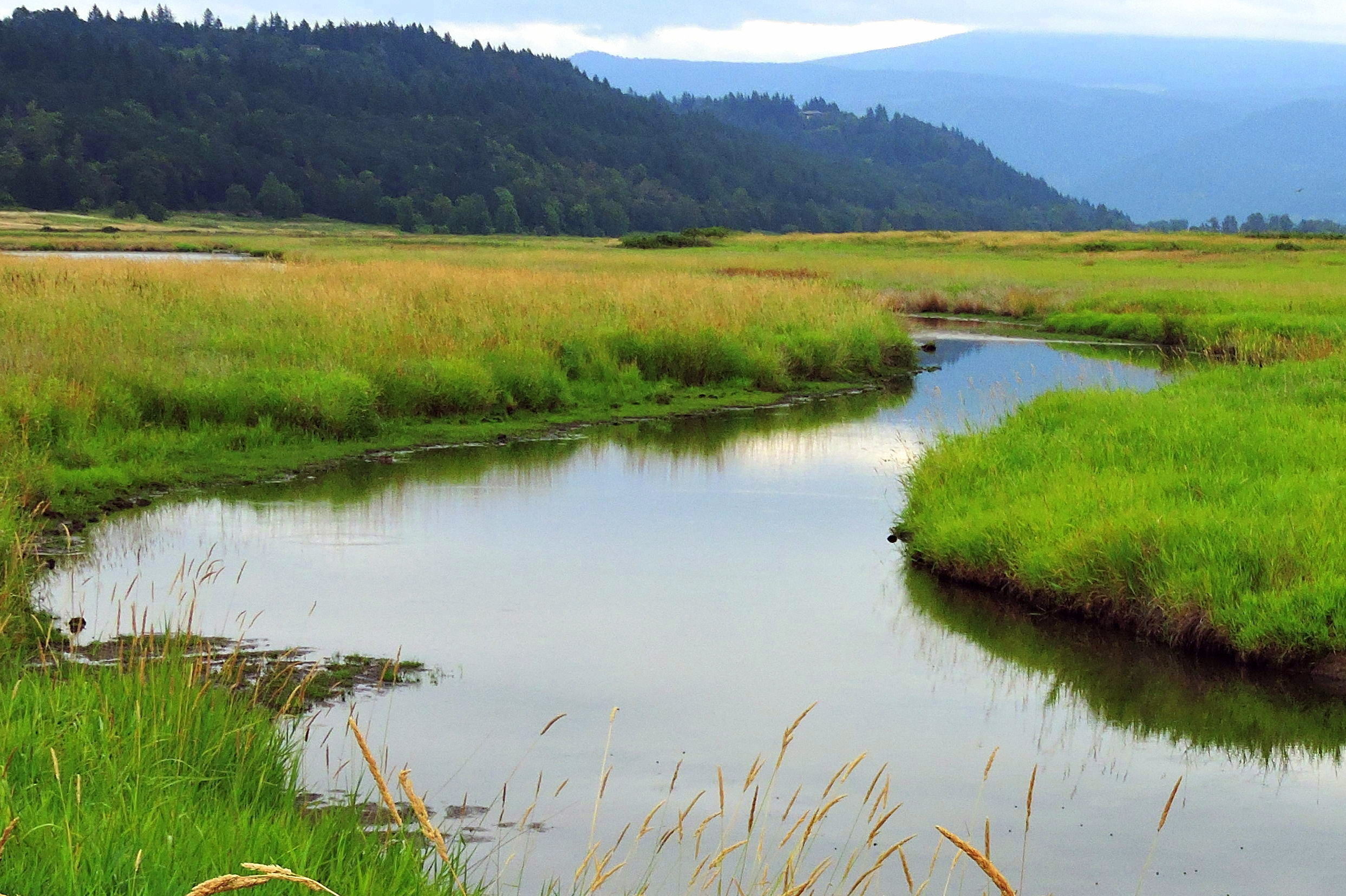 Conservation Group Permanently Protects 470 Acres of Land in Columbia Gorge